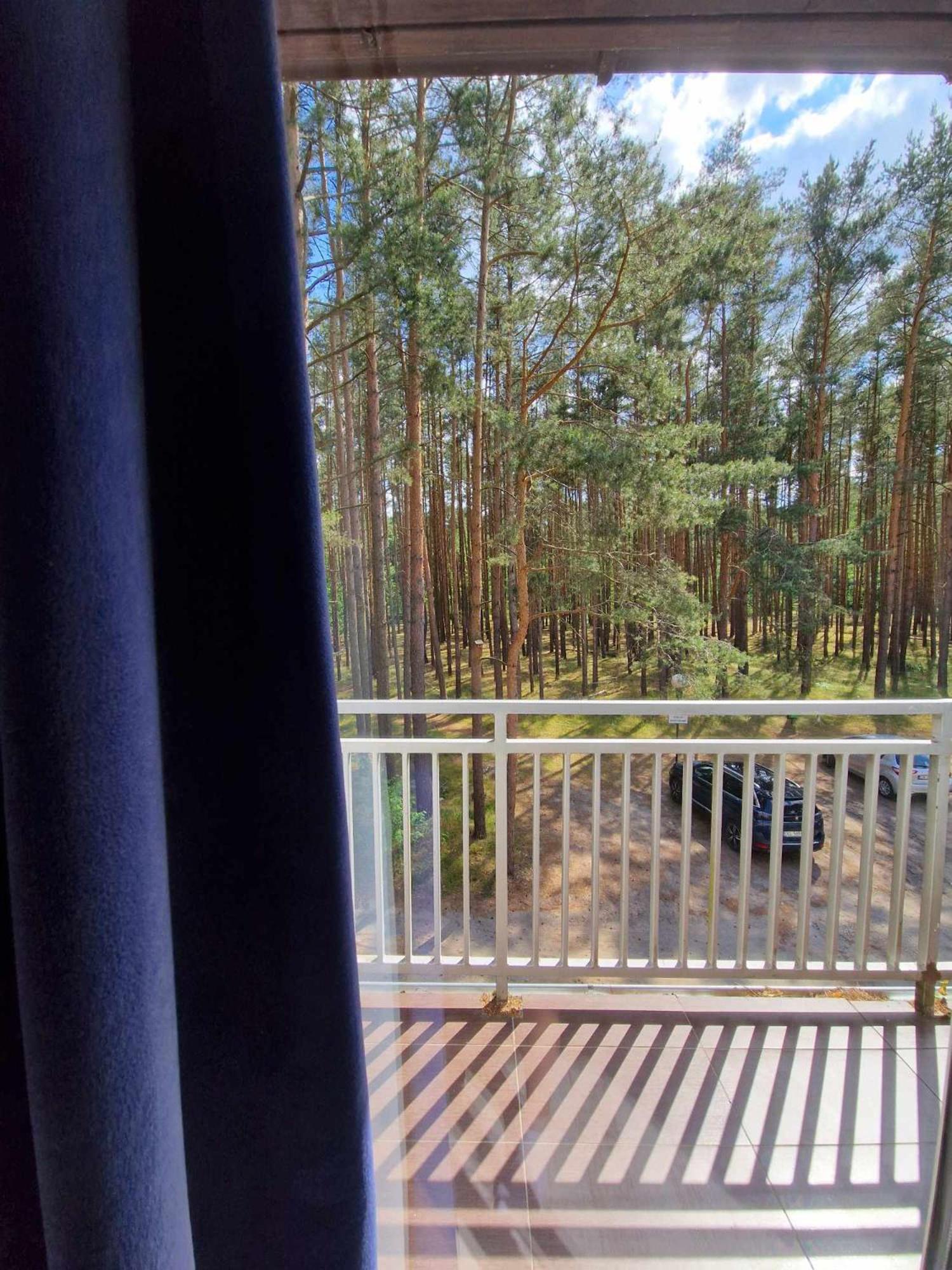 Lesny Zakatek Apartment